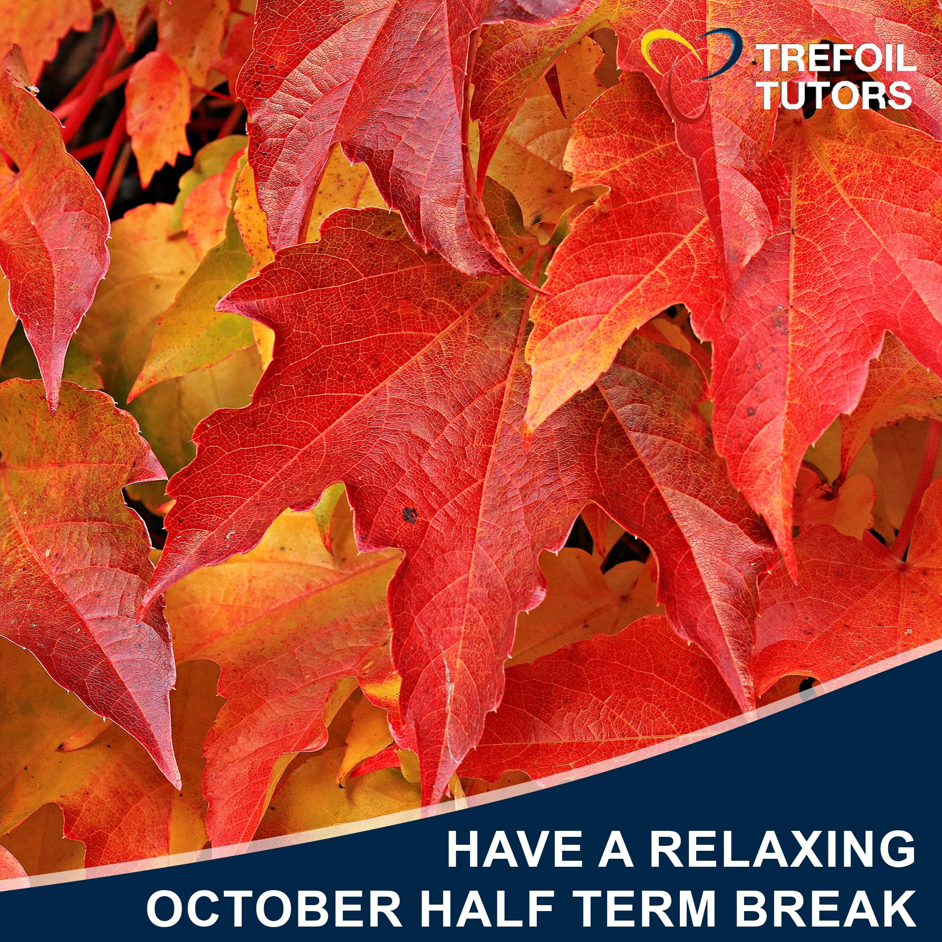 HAVE A RELAXING OCTOBER HALF TERM BREAK!