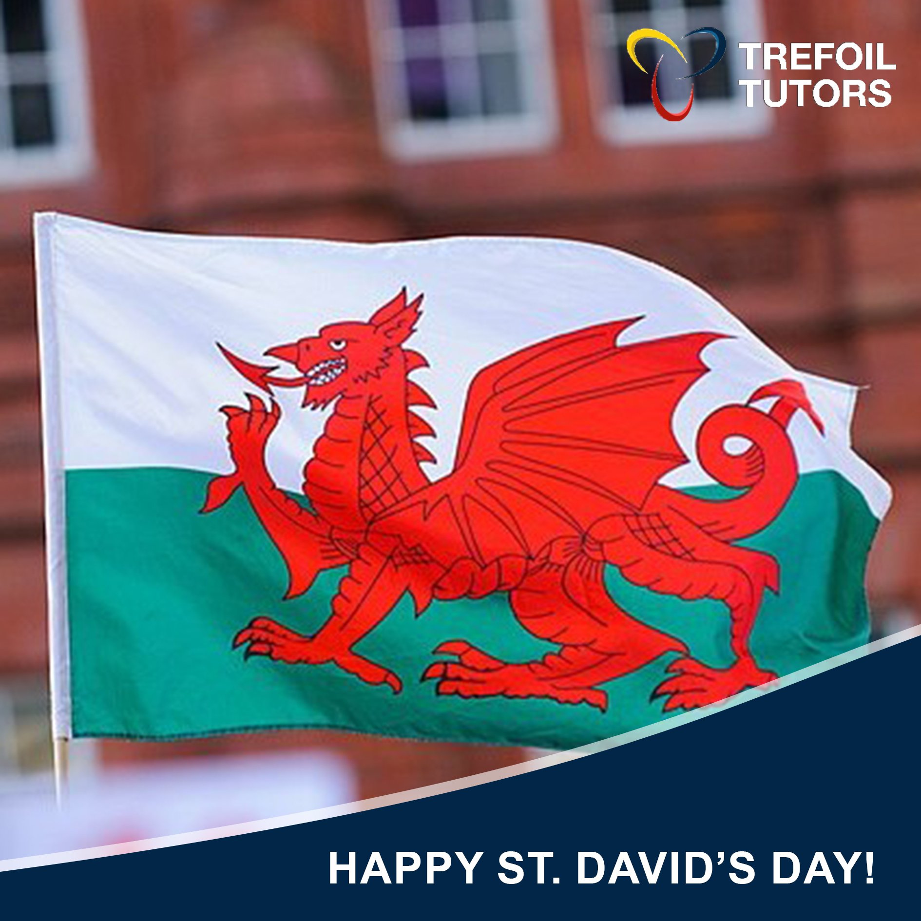 HAPPY ST. DAVID’S DAY!