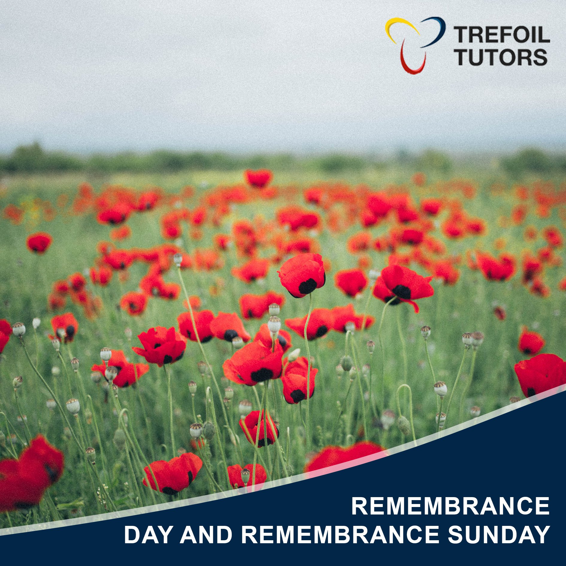 REMEMBRANCE DAY AND REMEMBRANCE SUNDAY