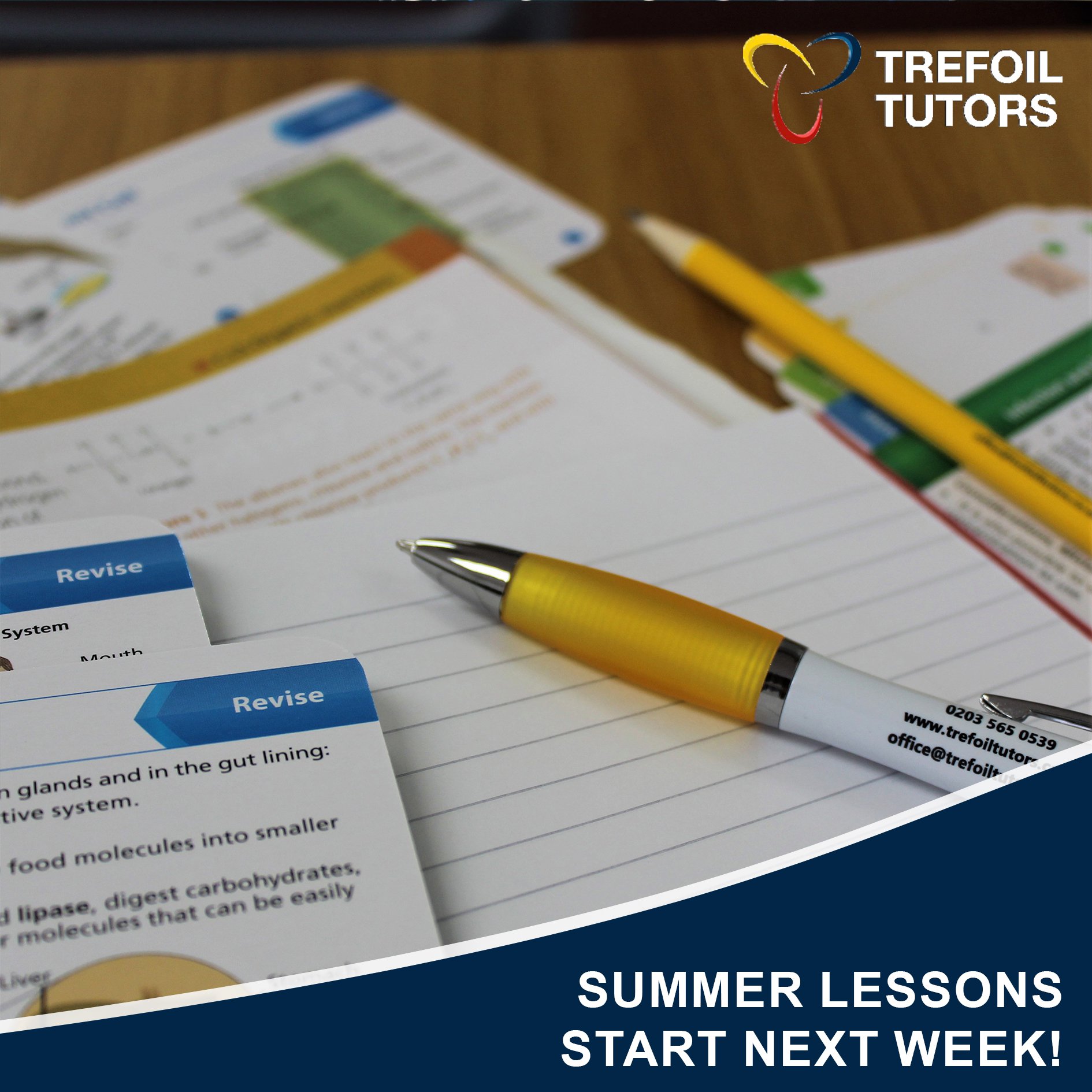 SUMMER LESSONS BEGIN ON MONDAY, 7TH AUGUST
